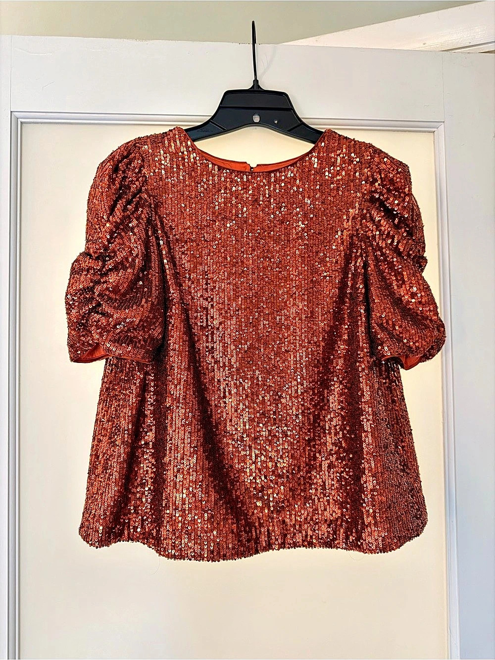 Anthropologie Sequin Puff Sleeve top Size 2